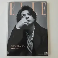 増刊 ELLE JAPON 特別版 2023年11月号 - メルカリ