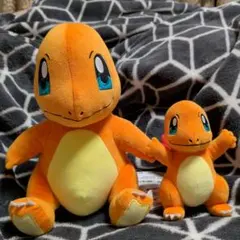 ポケットモンスター ヒトカゲ ぬいぐるみ 大小セット