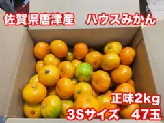 ⑨佐賀県唐津産　ハウスみかん 3Sサイズ約47玉のサムネイル