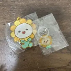 JO1 ジェオチャムJOCHUM めじるしアクセサリー　Bira ビラ　佐藤景瑚