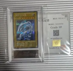 m97758040570_1.jpg?1770538154