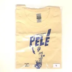 Item thumbnail for item cf04a5c4-a87e-4f72-82af-372c6a8f7f88