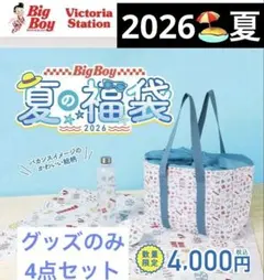2026年最新】ビッグボーイ バッグの人気アイテム - メルカリ