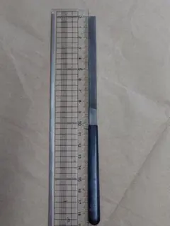 Item thumbnail for item 41455f23-3e9a-482a-86b9-305b385e5ec8