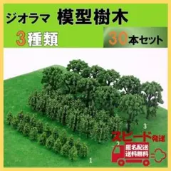 模型樹木 50本セット 3種類 緑 箱庭 木 ジオラマ 模型 モデル 風景