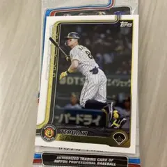 2023 Topps NPB 206 阪神タイガース 佐藤輝明 7枚限定 招き猫 2023 Topps NPB 206 阪神タイガース 佐藤輝明 7枚限定 招き猫