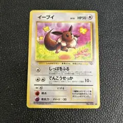 旧裏　イーブイ ● 第2弾拡張パック ポケモンジャングル