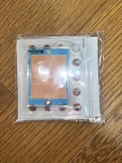 ハイキュー ゴミ捨て場の決戦展 「作戦ボード風」キーホルダー+おまけ付き