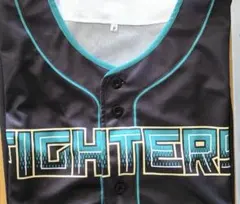 Item thumbnail for item 99b5173a-6f3b-43f4-999d-0a12b8b4a868