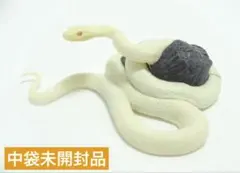 全種 高知のそふび デハラユキノリ コンプリートセット 南国堂 ソフビ