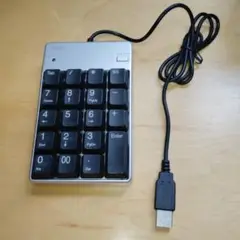 サンワサプライ NT-17UPK テンキー USB