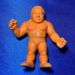 ☆当時物☆ 藤波辰巳 「ザ・プロレスラー 」 前田日明 プロレス