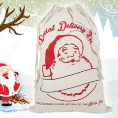 巾着 包装 クリスマス ギフト袋 ギフトボックス 巾着 プレゼント大容量 大きい