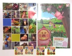 こびとづかん クリアファイル こびとづかんマーケット　ステッカー 6点セット