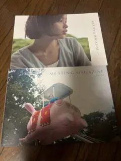 藤原さくら MEATING MAGAZINE Vol.01、02 Meating Magazine Vol.02 | 藤原さくら | A!SMART
