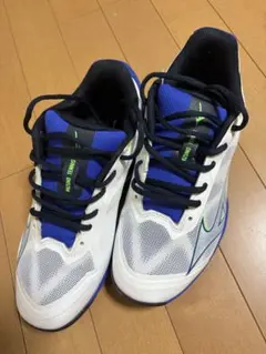 Mizuno Wave Exceed テニスシューズ
