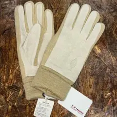 Item thumbnail for item 93094567-af79-472e-8d44-cf130163de0a