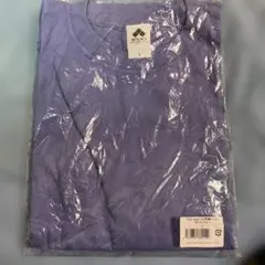 EVO Japan2023 ロゴ刺繍Tシャツ　ダスティブルー　Lサイズ