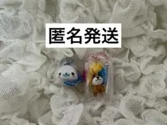 サンエックスユニバース チャームつきグミ まめゴマ　アフロ犬