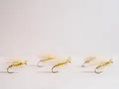 Item thumbnail for item 5d9c2076-38ce-4ddf-a5d8-2a8fd8a84d03