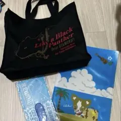 柚希礼音グッズまとめ売り