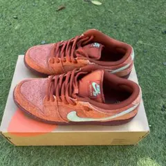 Nike Dunk Low Pro SB オレンジ/グリーン