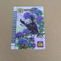 ムシキングカード