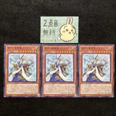 遊戯王 粛声の竜賢聖サウラヴィス ×3 ノーマル 2点目無料