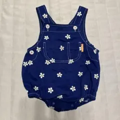 Item thumbnail for item 688f6e1d-3b70-436e-b791-614c8d0d84fe