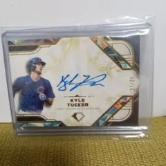 Item thumbnail for item 00b91102-614a-4789-a12c-9dc3fa44a60f