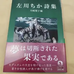 左川ちか詩集　2023年初版 234P