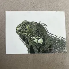 イグアナの手描きアート作品　9×12.5cm