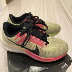 Item thumbnail for item 24402469-5347-4623-b1c6-10a48207cc37