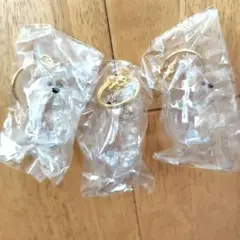 うちのイッヌ　いつも一緒だワン！キーホルダー　毛玉　いぬ
