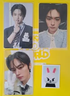 Stray Kids スキズ リノ トイワ TOY WORLD トレカ