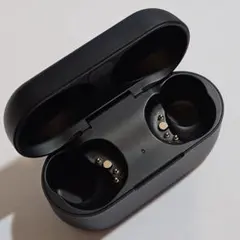 【美品】Technics EAH-AZ80 ブラック ケースのみ 動作確認済