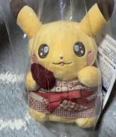 ポケモンセンター Pikachu's Sweet Delivery ぬいぐるみ - メルカリ
