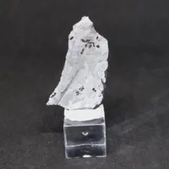 Item thumbnail for item bc2d9b43-79e4-470c-a9dd-c13723d0dbe0