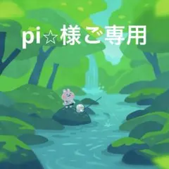 pi⭐︎様ご専用