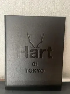 Item thumbnail for item 81f3e61a-d89c-4631-98c6-aa9615c26d52