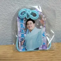 Item thumbnail for item 3599ee4a-1aa5-4573-8a46-5adc28b27198