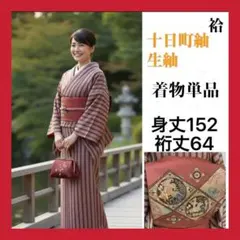 s155 十日町紬 紬 縦縞 単品 身丈152 裄丈64