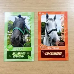 ツルマルツヨシ様 リクエスト 2点 まとめ商品