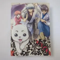 DVD 劇場版銀魂 完結篇 万事屋よ永遠なれ(完全生産限定版)