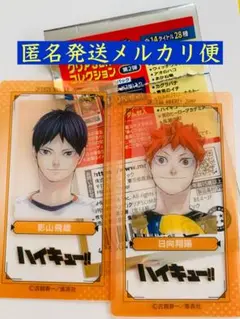 ジャンプショップ限定　クリアSLIMカードコレクション　影山飛雄　日向翔陽