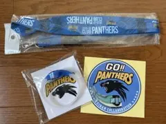 Panasonic panthersネックストラップ&ブレスレット