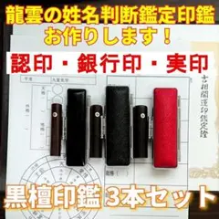 オーダー印鑑❤️姓名判断鑑定書付❗黒水牛印鑑3本セットA❗三宝印 