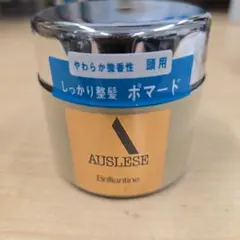 2025年最新】資生堂 アウスレーゼ ブリランチンN ＿の人気