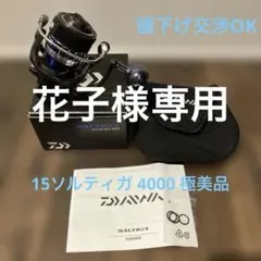 15 ソルティガ4000 Daiwa ダイワ　美品　リーダーセット 15 ソルティガ4000 Daiwa ダイワ 美品 リーダーセット - メルカリ