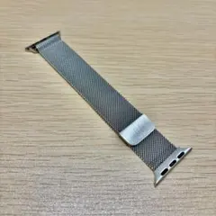 Apple Watch ミラネーゼループ　シルバー
